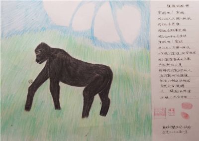 邓恢勇 会员 作品 5